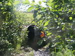 Culvert Crossing, Limestone Brook, Smyrna, Maine