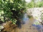 Multiple Culvert Crossing, Youngs Brook, Westfield, Maine