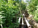 Multiple Culvert Crossing, Youngs Brook, Westfield, Maine