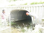 Culvert Crossing, Presque Isle, Maine
