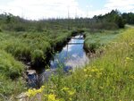 Culvert Crossing, Cary Plt, Maine