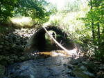 Culvert Crossing, Dunn Brook, Smyrna, Maine