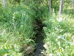 Culvert Crossing, Elliot Brook, Easton, Maine