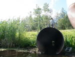 Culvert Crossing, Elliot Brook, Easton, Maine