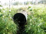 Culvert Crossing, Elliot Brook, Easton, Maine