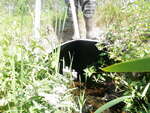 Culvert Crossing, Littleton, Maine