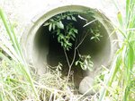 Culvert Crossing, Littleton, Maine