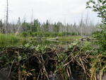 Culvert Crossing, Clark Brook, Presque Isle, Maine