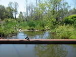 Culvert Crossing, Prestile Stream, Easton, Maine