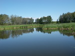 Culvert Crossing, Prestile Stream, Easton, Maine