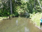 Culvert Crossing, Prestile Stream, Easton, Maine