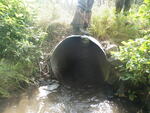 Culvert Crossing, Westfield, Maine