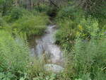 Culvert Crossing, Westfield, Maine