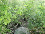 Culvert Crossing, Mars Hill, Maine