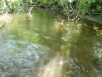 Multiple Culvert Crossing, Hilt Brook, Mars Hill, Maine