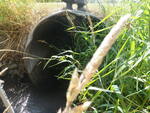Multiple Culvert Crossing, Hilt Brook, Mars Hill, Maine