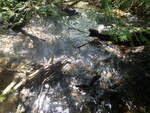 Multiple Culvert Crossing, Hilt Brook, Mars Hill, Maine