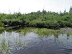 Culvert Crossing, Clark Brook, Westfield, Maine