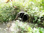 Culvert Crossing, Mars Hill, Maine