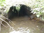 Culvert Crossing, Gin Brook, E Twp, Maine