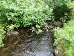 Culvert Crossing, Gin Brook, E Twp, Maine