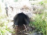 Culvert Crossing, Blaine, Maine