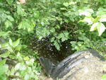 Culvert Crossing, Masardis, Maine
