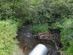 Culvert Crossing, Bridgewater, Maine