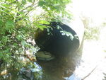Culvert Crossing, Gin Brook, E Twp, Maine