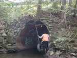 Multiple Culvert Crossing, Young Brook, Bridgewater, Maine