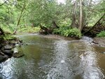 Multiple Culvert Crossing, Young Brook, Bridgewater, Maine