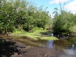 Multiple Culvert Crossing, South Branch Three Brooks, Bridgewater, Maine