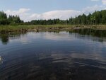 Multiple Culvert Crossing, Dead Stream, Bridgewater, Maine