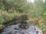 Culvert Crossing, Matherson Brook, T9 R5 WELS, Maine