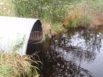 Culvert Crossing, Matherson Brook, T9 R5 WELS, Maine
