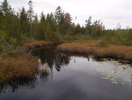 Culvert Crossing, Matherson Brook, T9 R5 WELS, Maine