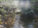 Culvert Crossing, Monticello, Maine