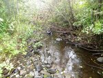 Multiple Culvert Crossing, Hoyt Brook, Monticello, Maine