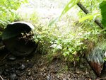 Multiple Culvert Crossing, Monticello, Maine