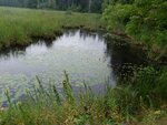 Culvert Crossing, Monticello, Maine