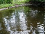 Culvert Crossing, Littleton, Maine