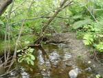 Culvert Crossing, Littleton, Maine