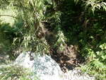 Culvert Crossing, Littleton, Maine