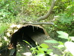 Culvert Crossing, Littleton, Maine