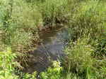 Culvert Crossing, Littleton, Maine