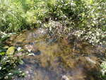 Culvert Crossing, Houlton, Maine