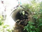 Culvert Crossing, Houlton, Maine