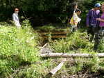 Ford Crossing, Houlton, Maine
