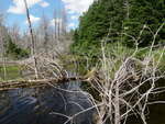 Ford Crossing, Houlton, Maine