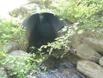 Culvert Crossing, Houlton, Maine